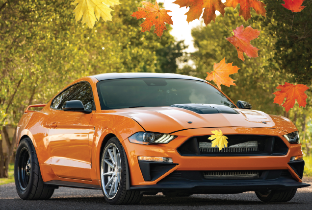 Fall Car Buying